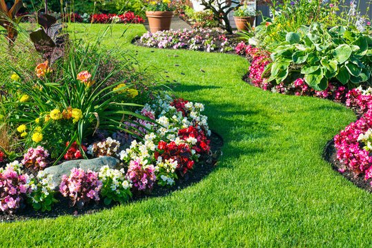 garden.jpg