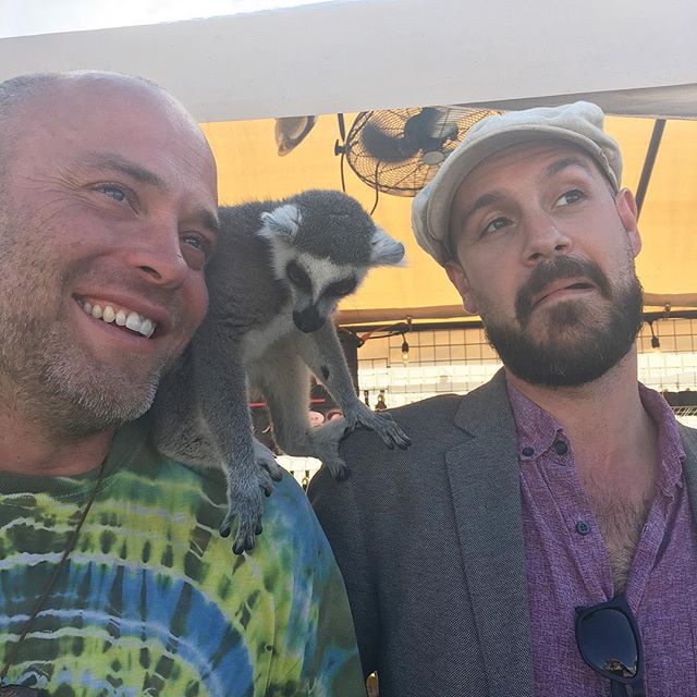 We met a lemur yesterday at Beanstalk Fest. A LEMUR. He was so soft and fluffy. ▪️▫️▪️▫️