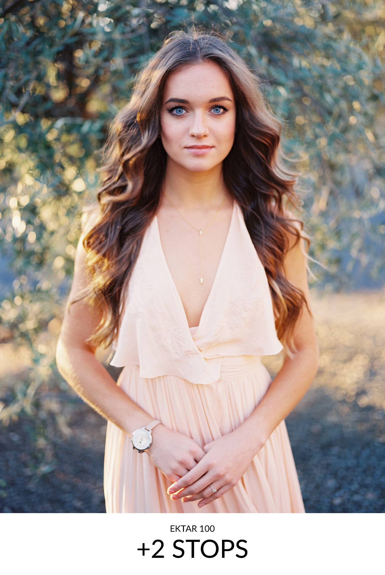 Ektar-100-2-stops-overexposure.jpg