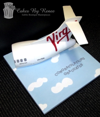 Plane Virgin Blue 3D cake crew Travel Holiday Flying