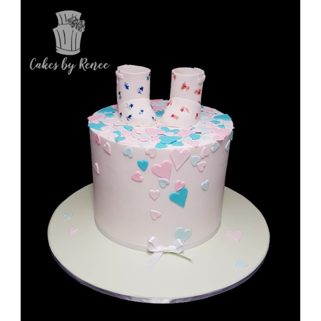 Baby Shower reveal twins cake gumboots shoe topper