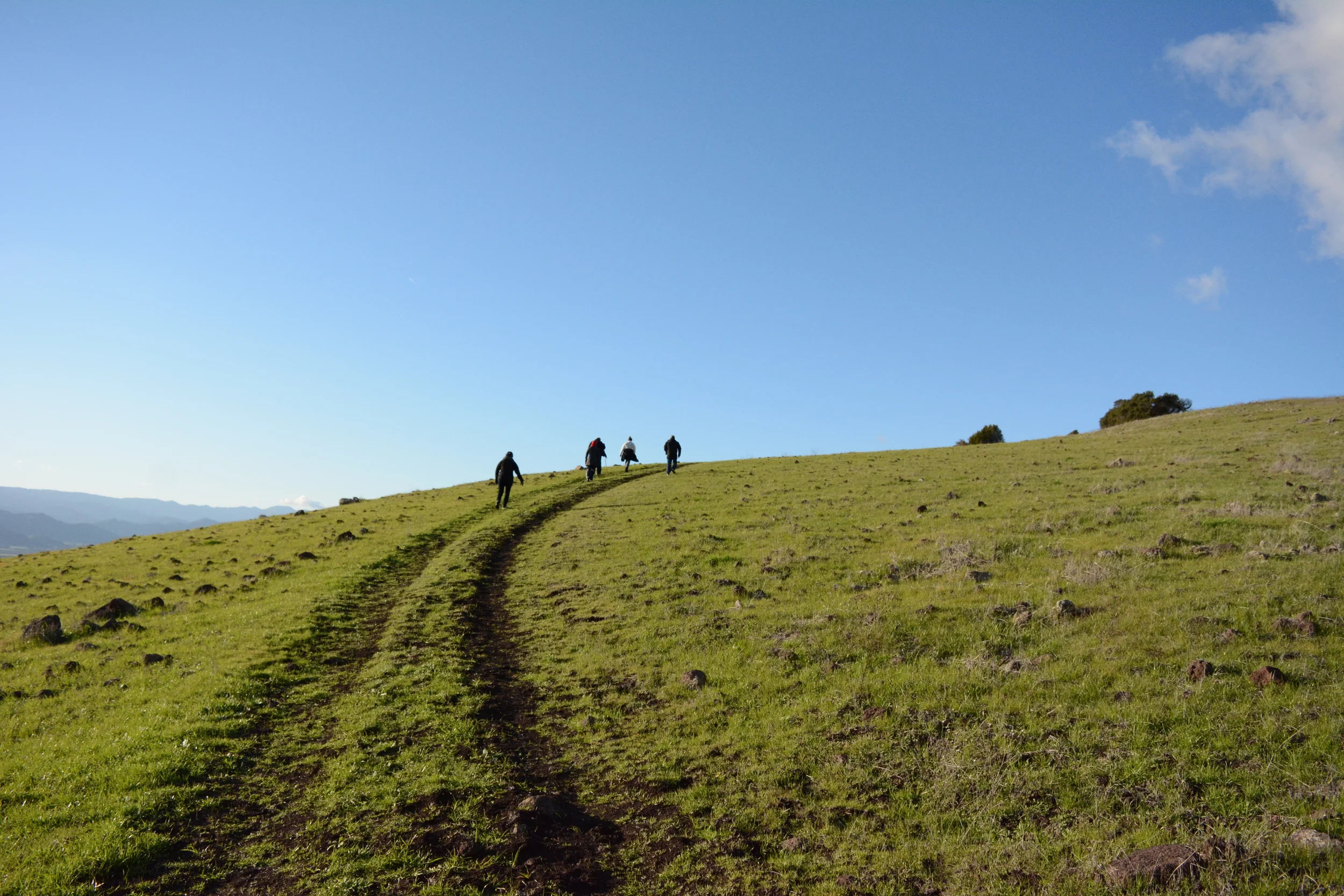DSC_5277.JPG