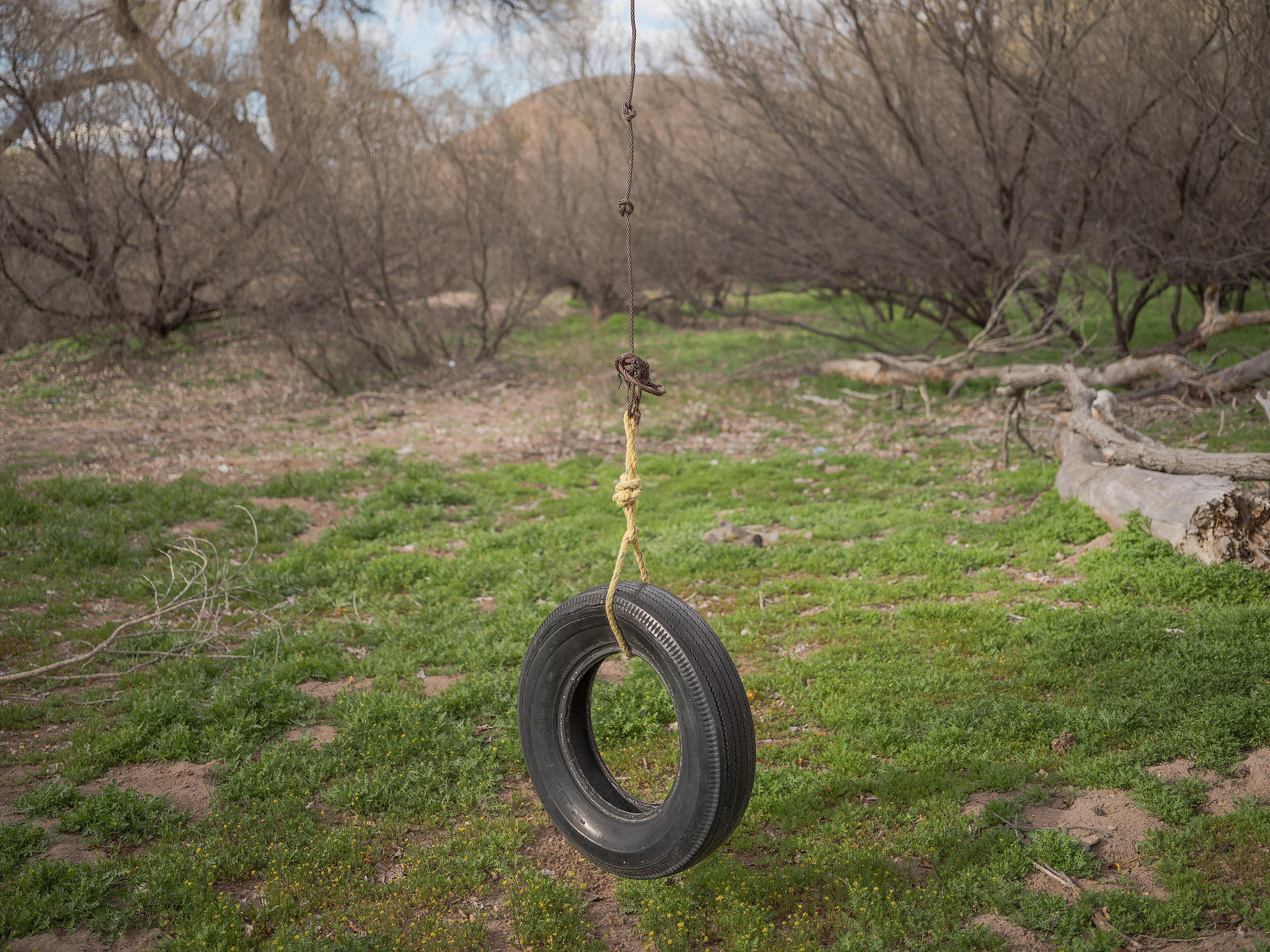 Tire swing and wild arugula growing along the banks of the Gila river in adjacent Clifton, AZ