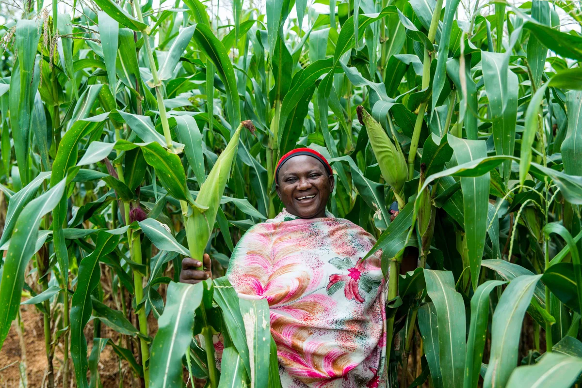 2 AFUNOGIDAN simi_Happy Harvest.JPG