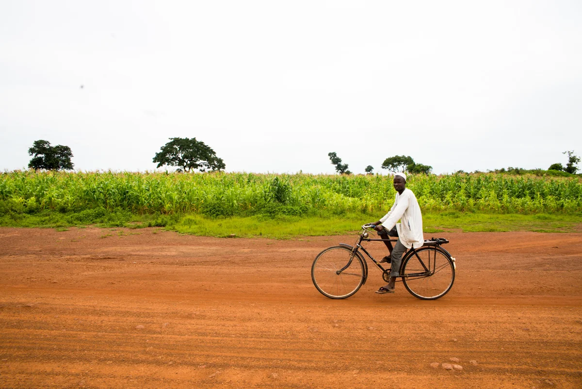 7 AFUNOGIDAN simi_Road to the farm.JPG