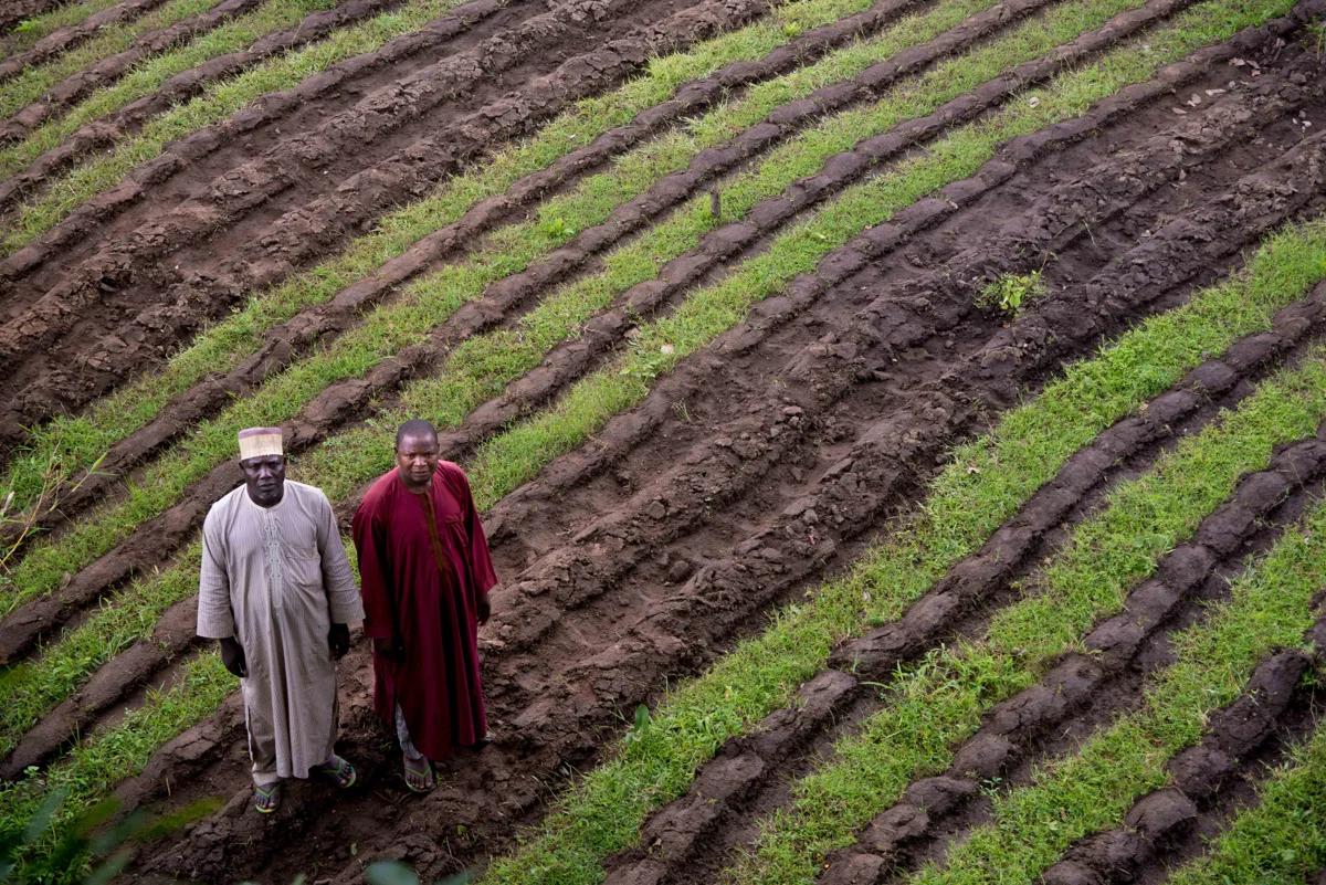 6 AFUNOGIDAN simi_Ready to grow.JPG