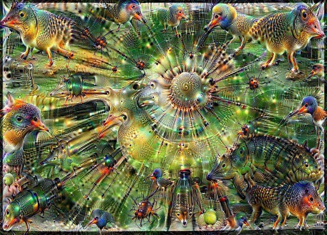 10927187_10153493158145446_5848747326677782328_o.jpg
