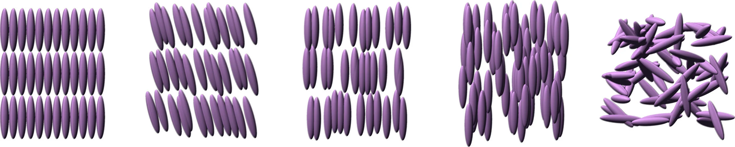 The molecular ordering in a series of phases. From left to right: crystal, smectic C, smectic A, nematic, and isotropic phases. The third, smectic A, is what is represented in the images here.