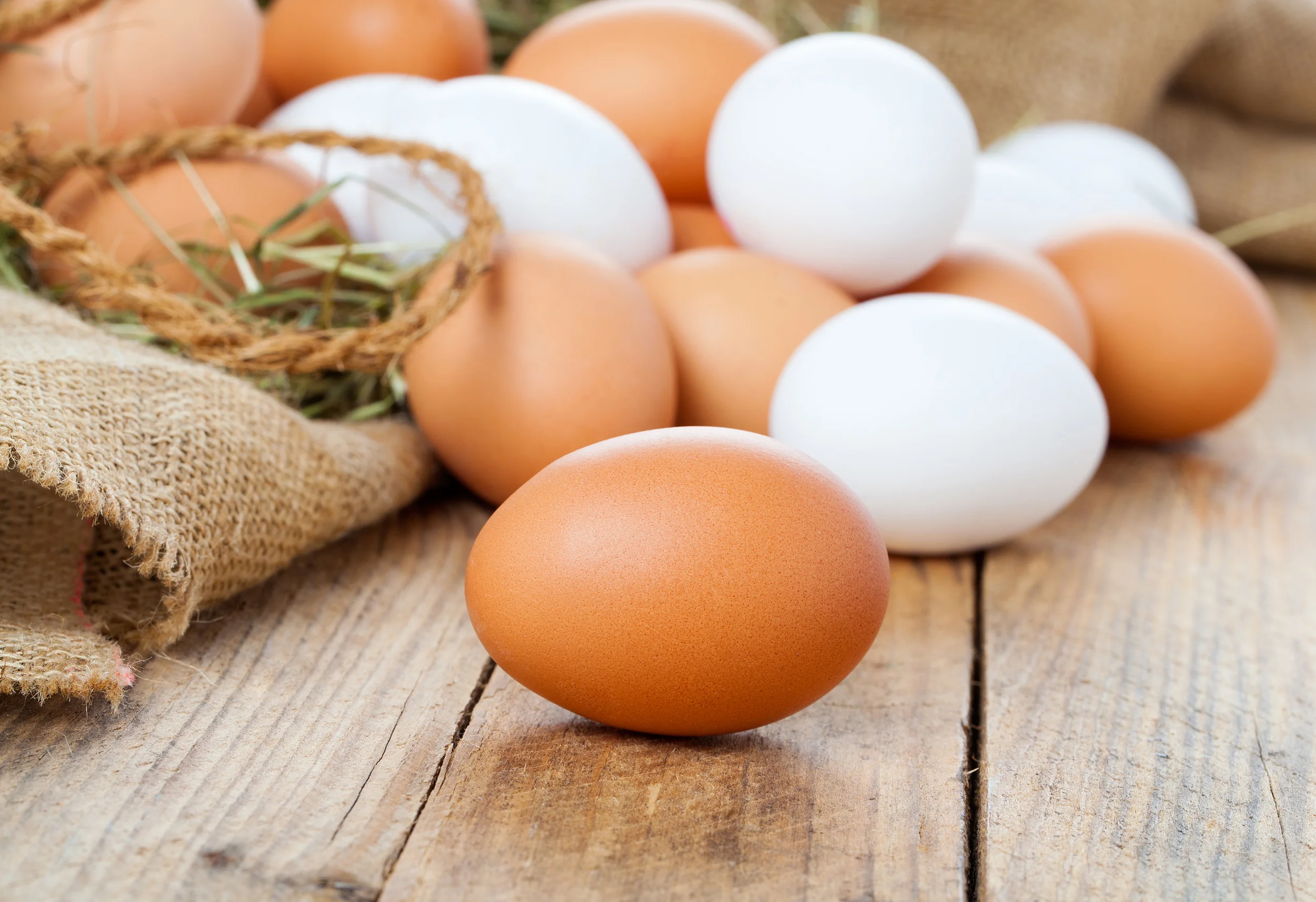 eggs.jpg