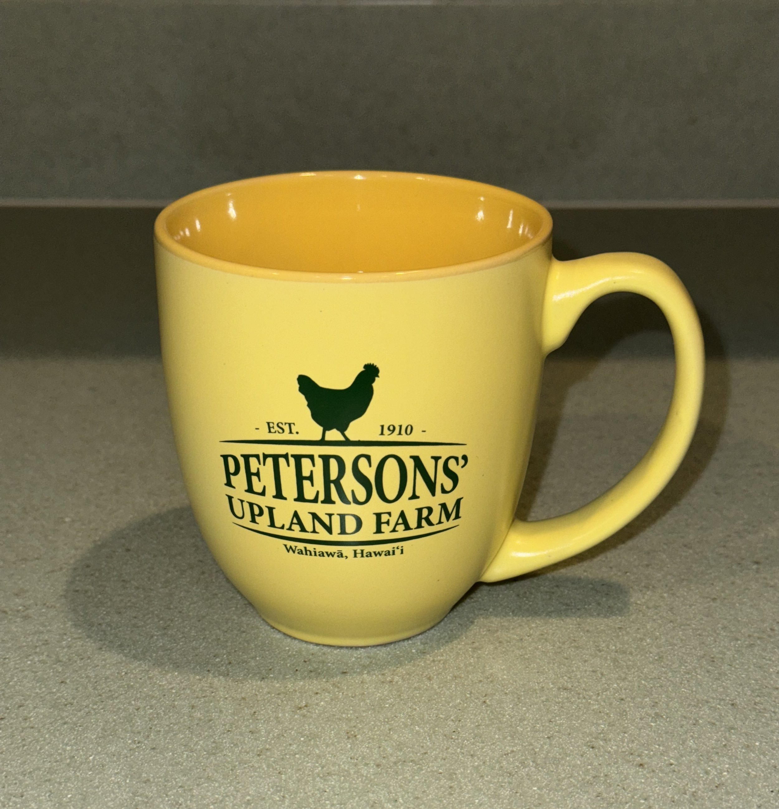 PUF yellow mug.jpg