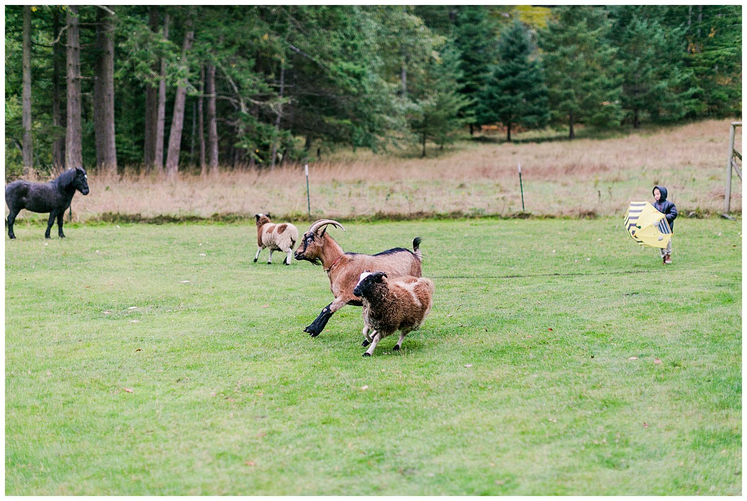 SeattleWeddingPhotography_photosbychristinechen_0034.jpg