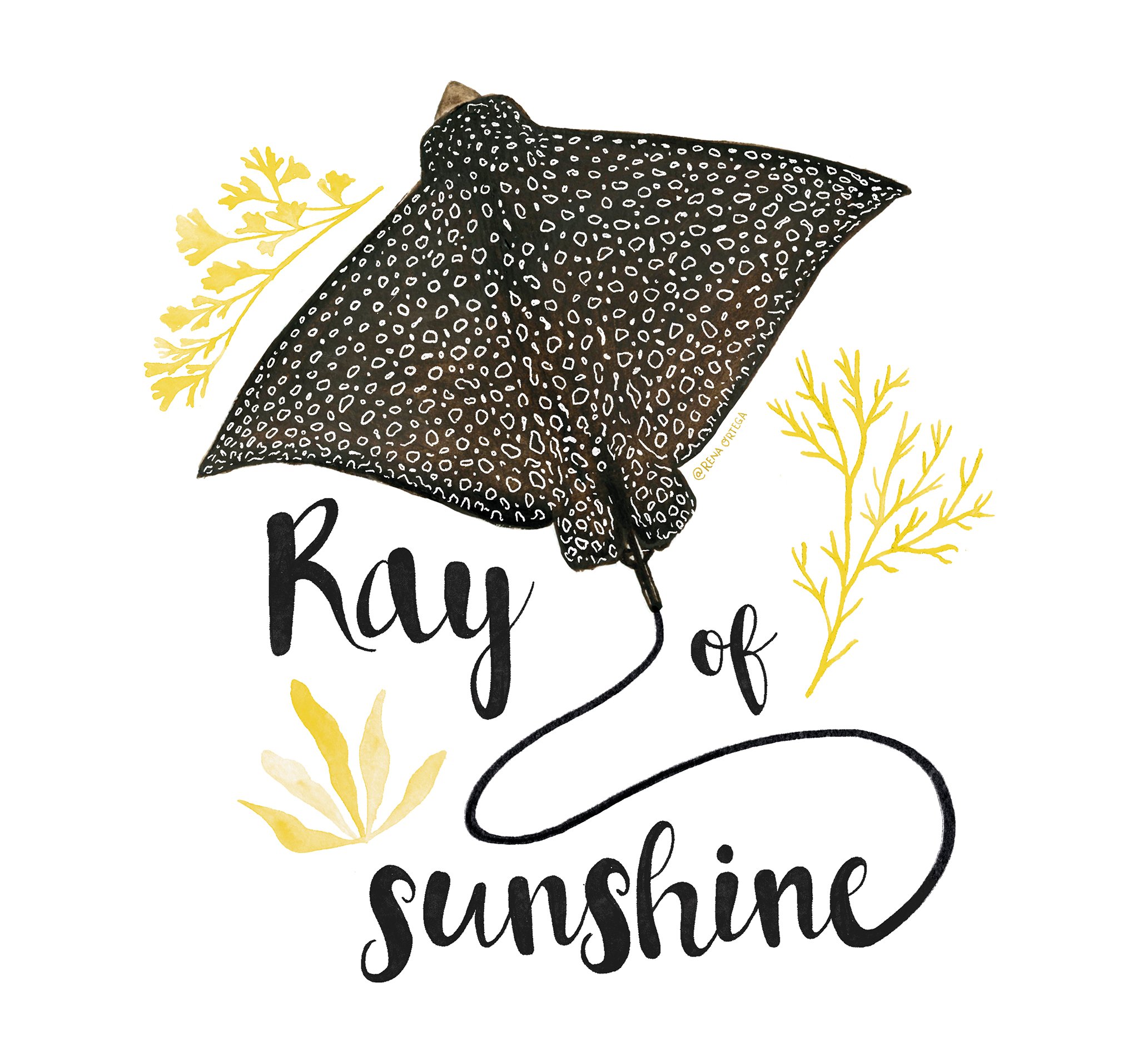 ray.jpg