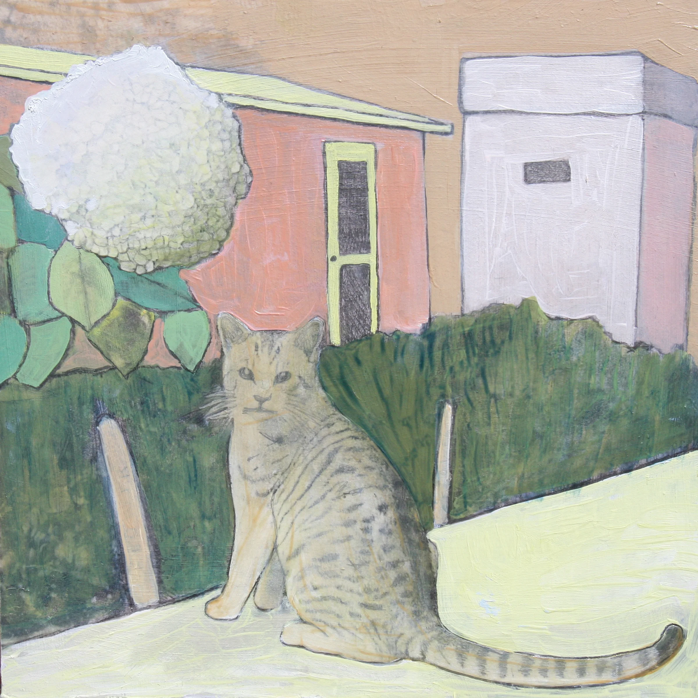 Cats Like Cotton Candy Too