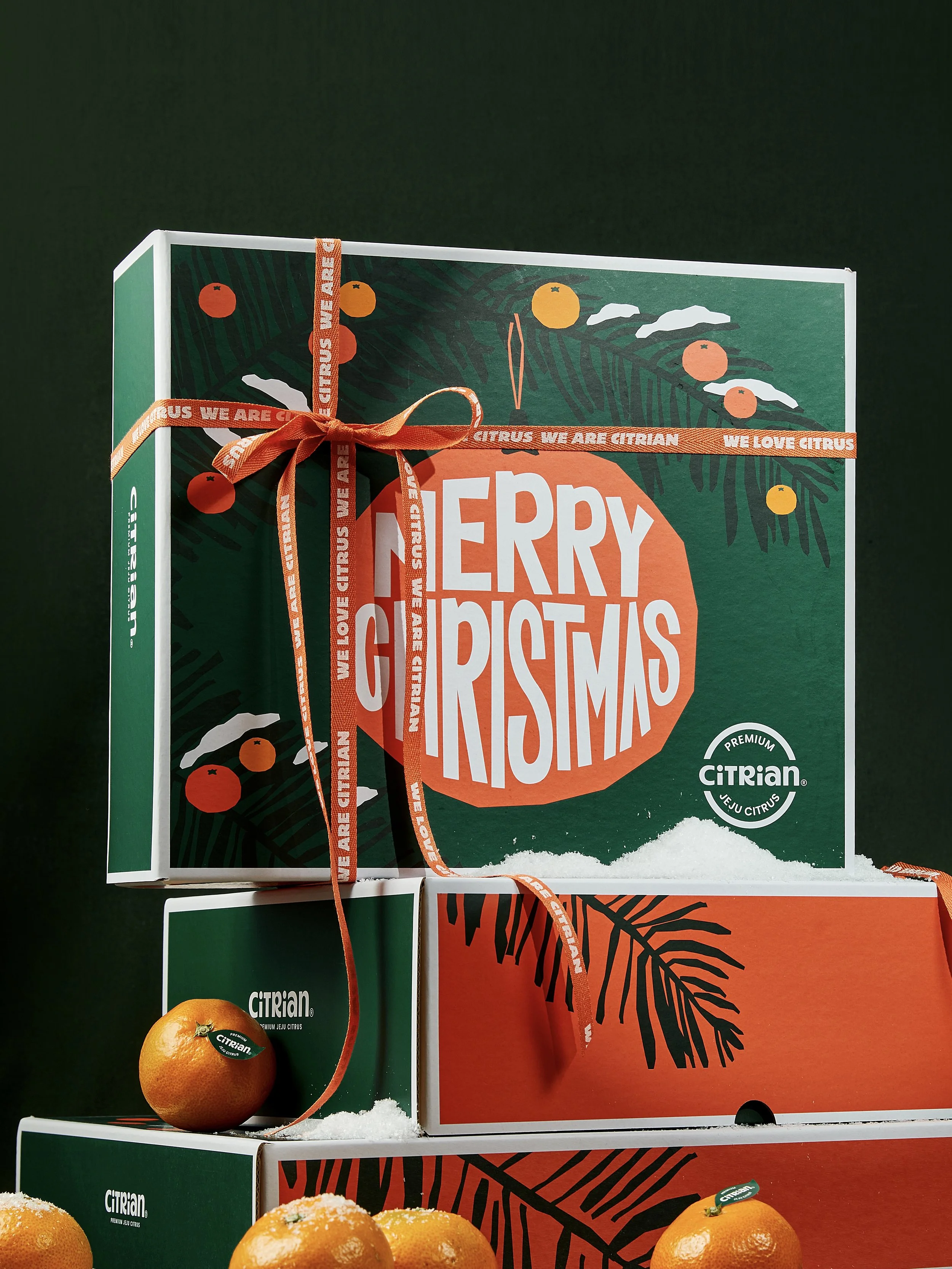 시트리앙 크리스마스.jpeg