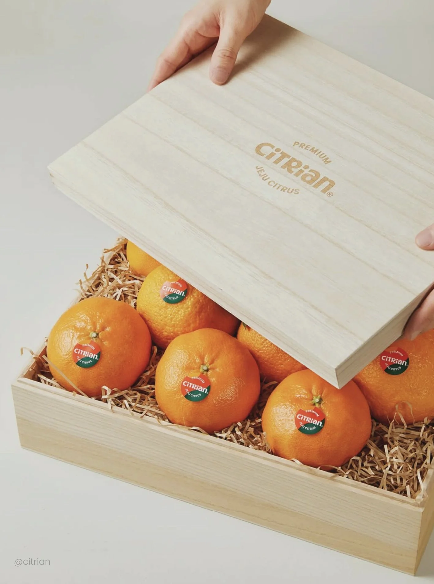 시트리앙_설패키지 2.jpg