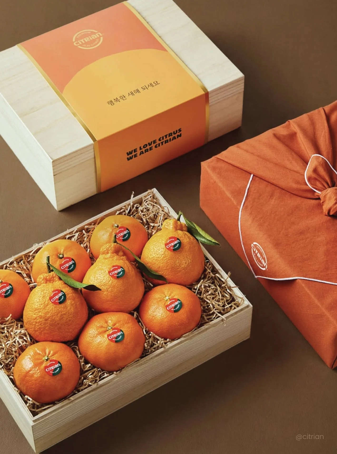 시트리앙_설패키지 1.jpg