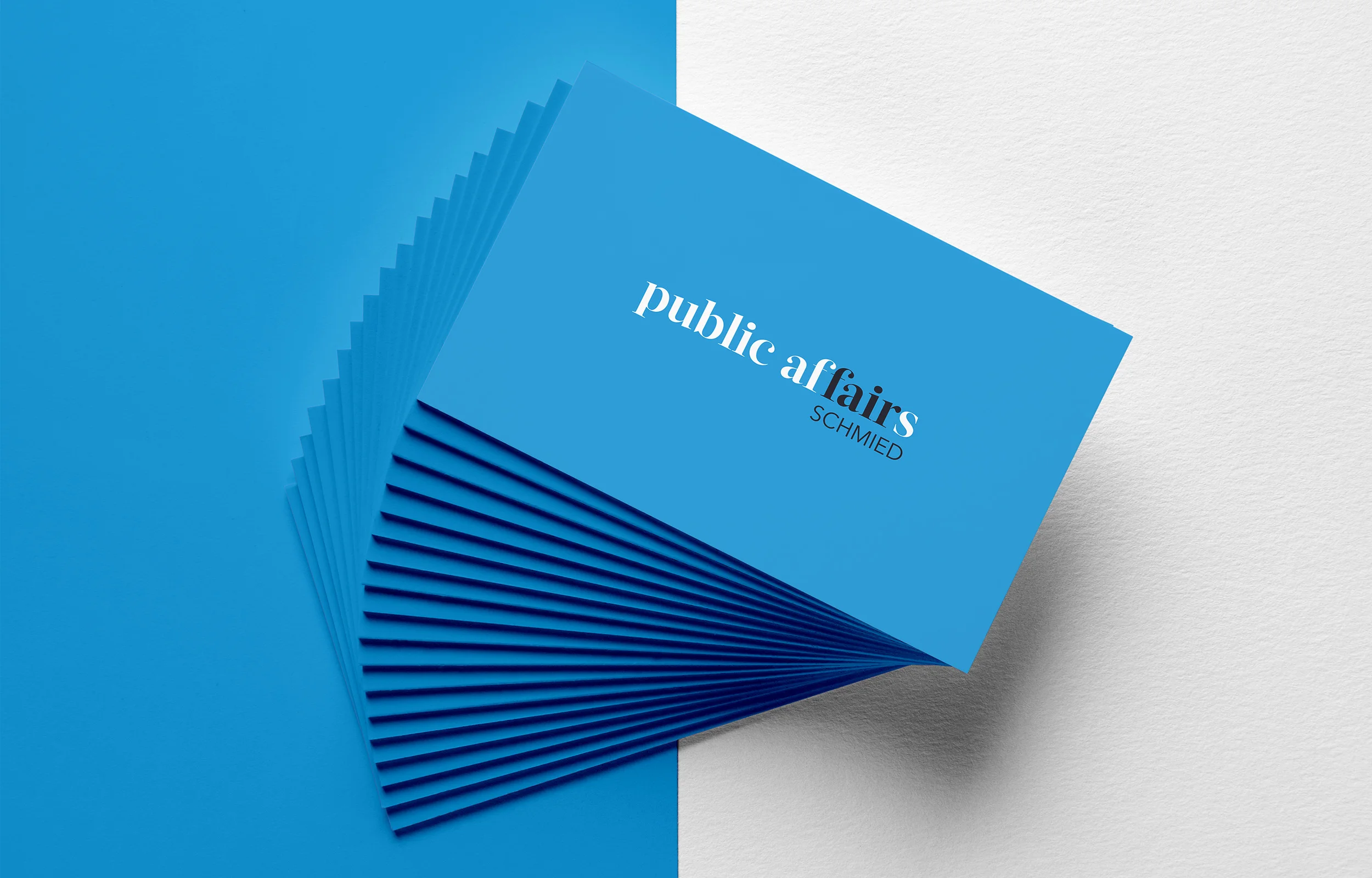public affairs: Corporate Design