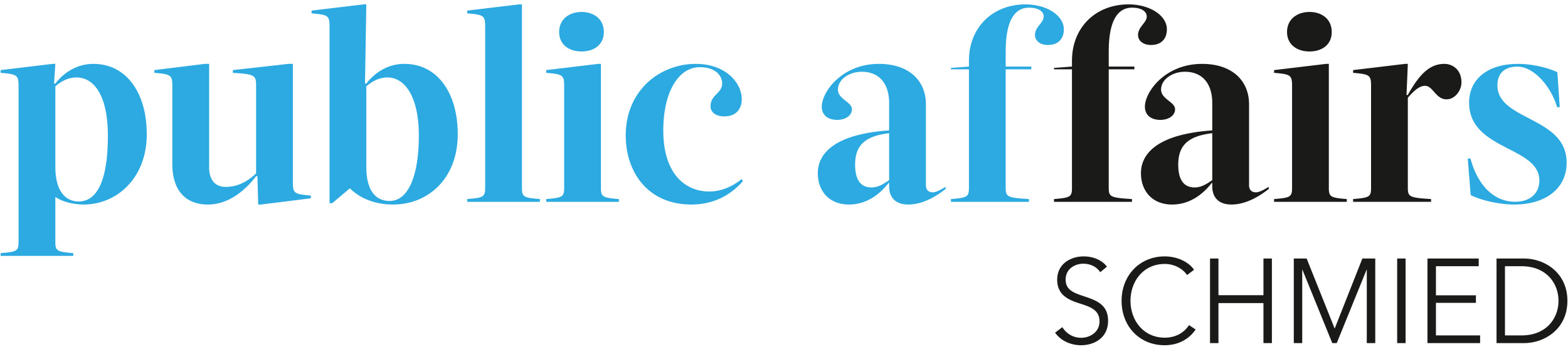 public affairs: Logo-Entwicklung