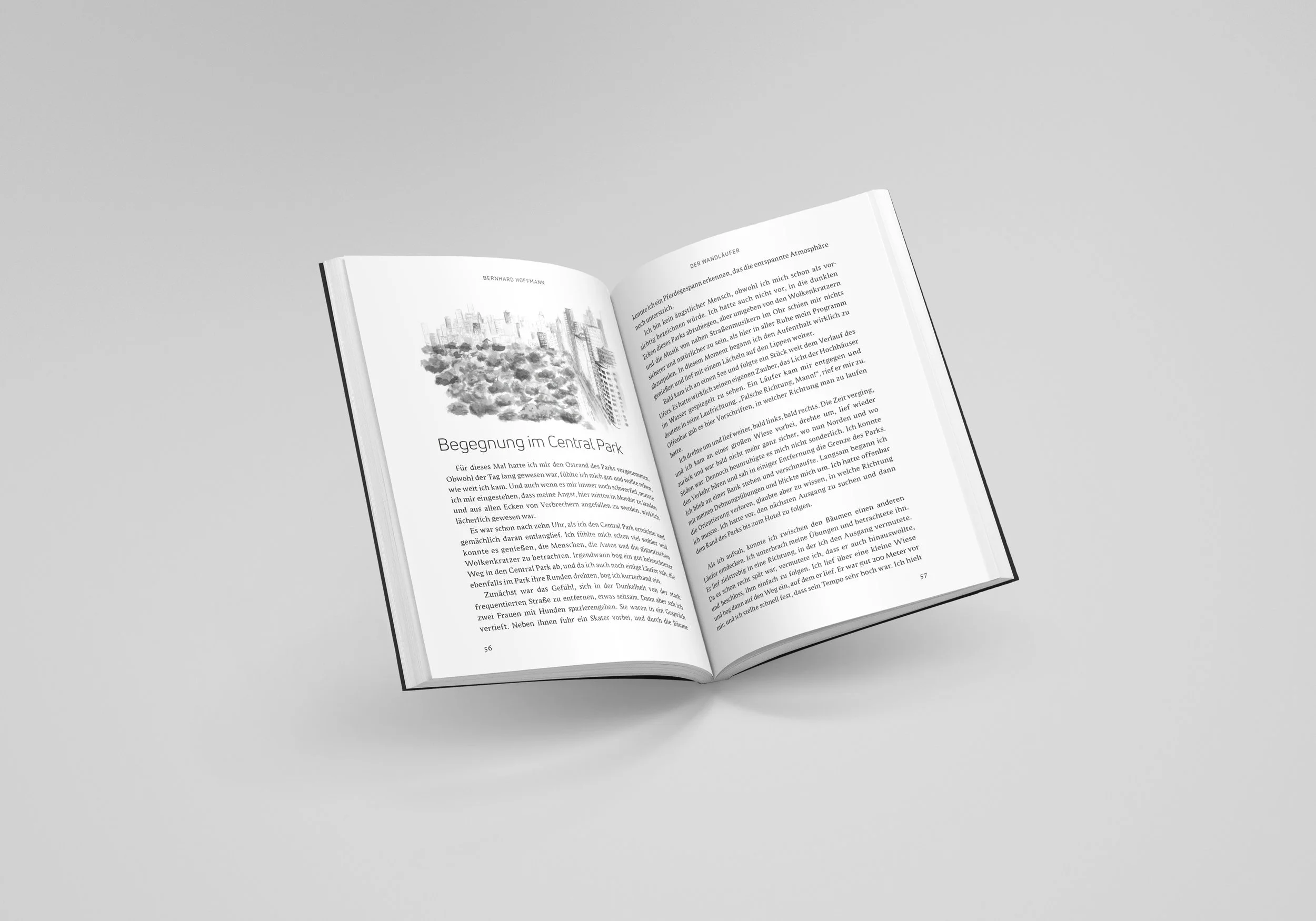 patricktoifl_buchdesign_wandlaeufer_galerie_2.jpg