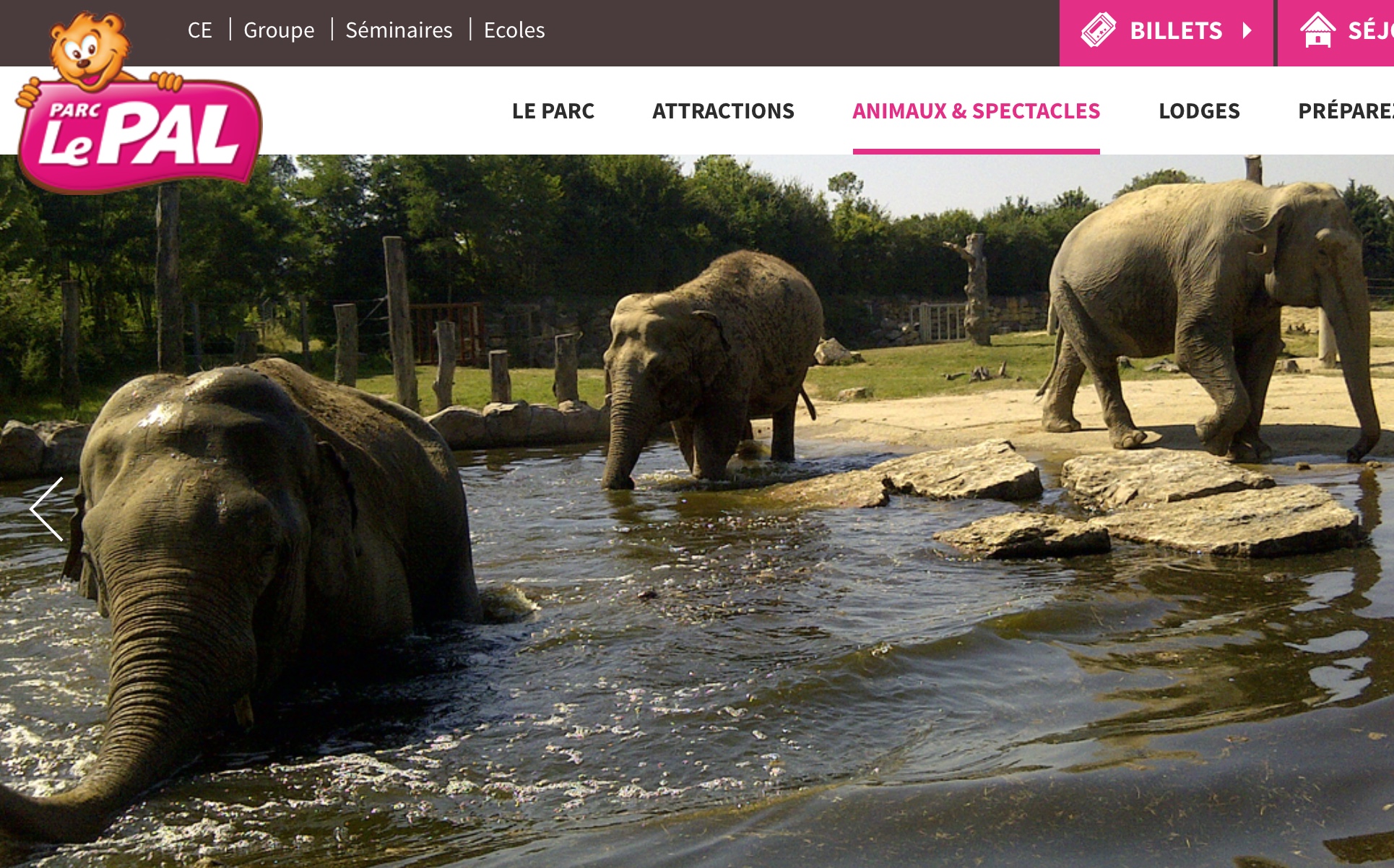 Parc le Pal has a Zoo and and Attraction parc: great for all ages - www.lepal.com