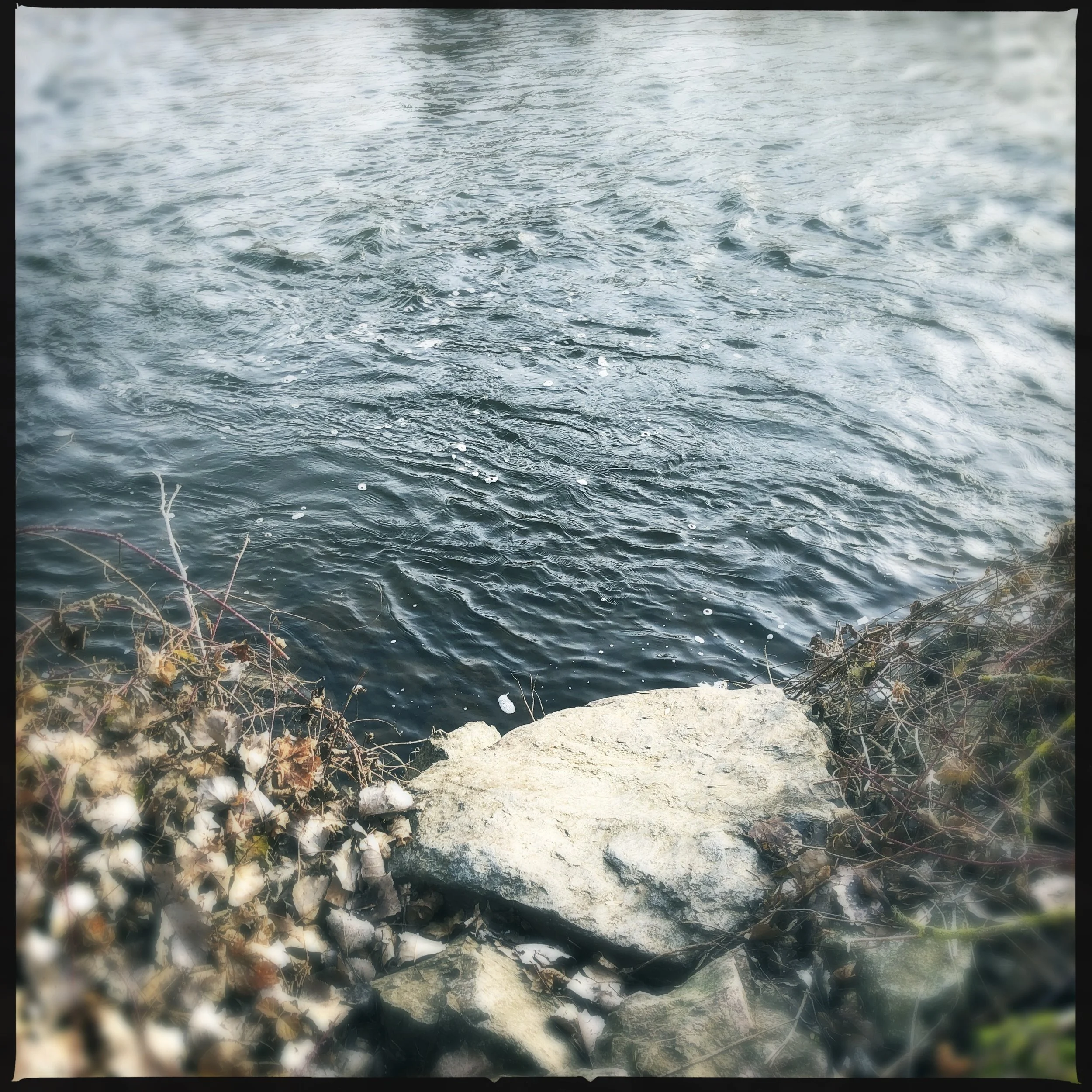 There’s a great river in Bayet: la Sioule, only a five minute walk, for playing, hanging out, adventuring!