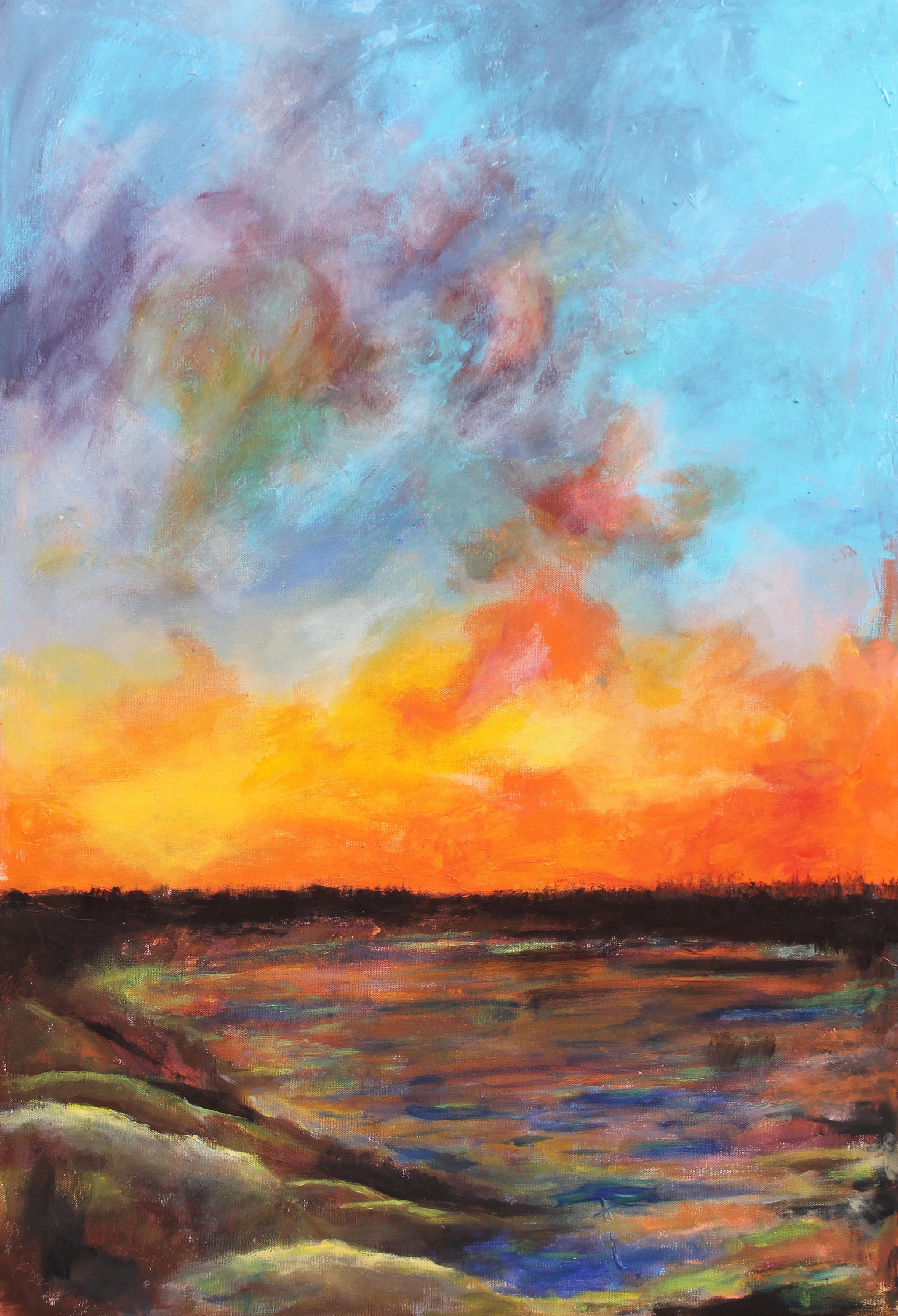 WAI18 Sanderson Paul.JPG