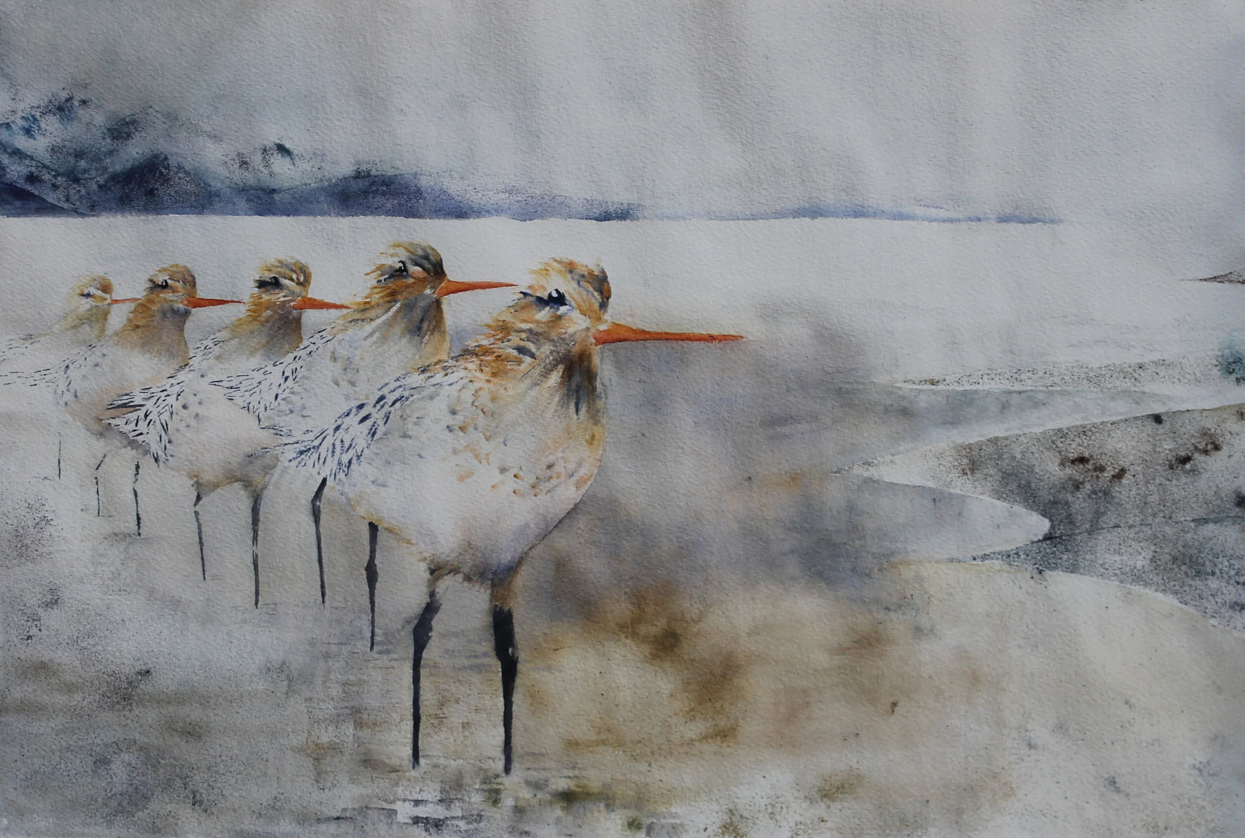 WAI18 Stewart Sue.JPG