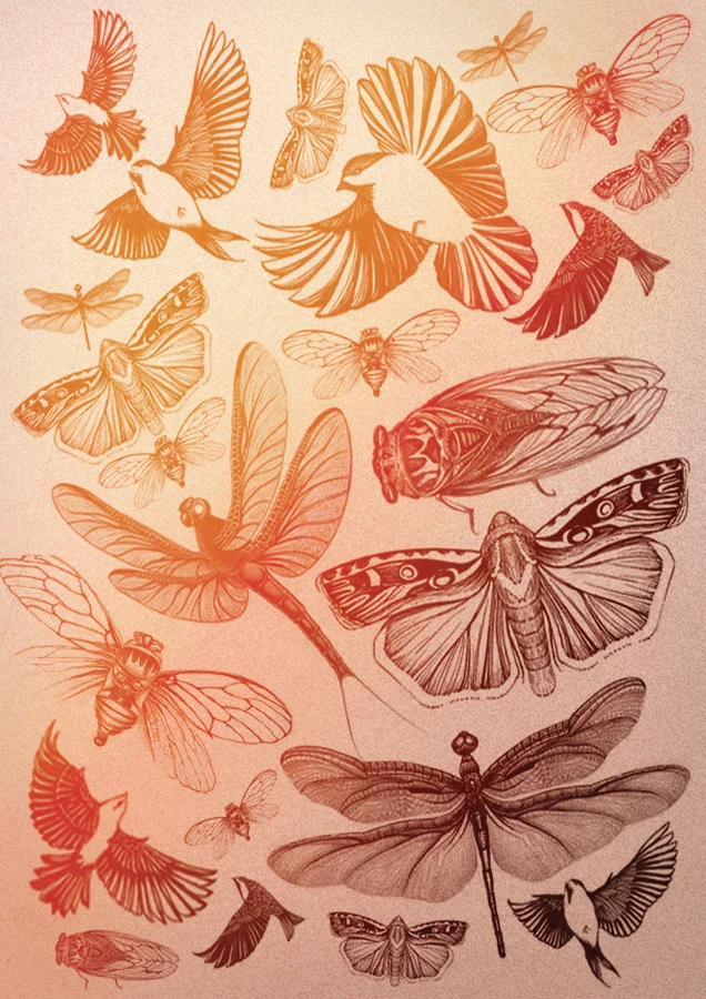 InsectCollage.jpg