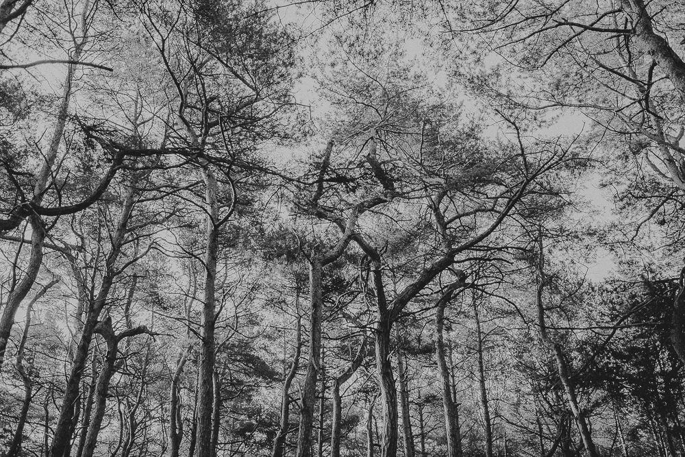 _MG_6846.jpg