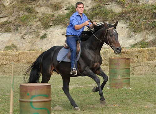 Lukas , Accompagnatore Escursionista (Fitetrec-Ante), Istruttore (ACE)