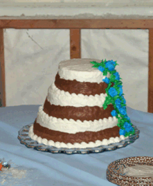 Photo courtesy of cakewrecks.com