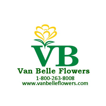 Van Belle logo Dec 4 2015.jpg
