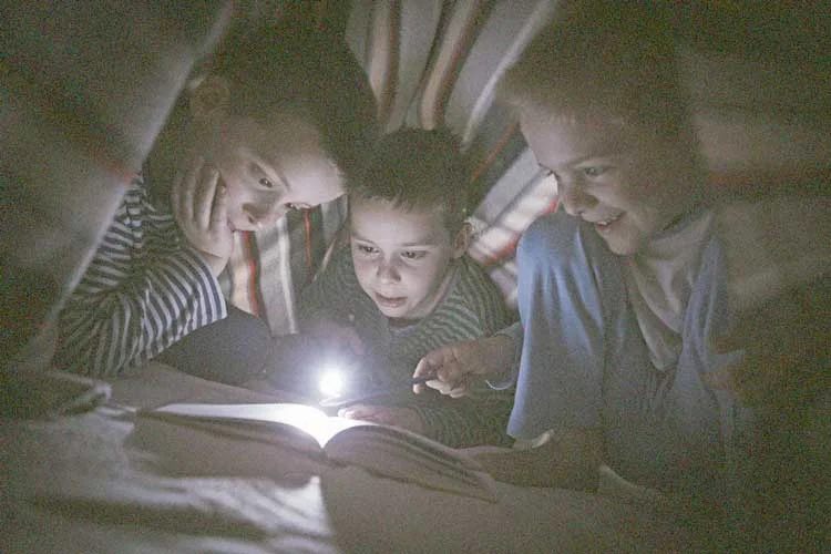 Provide shelter with electricity, gas, and water
