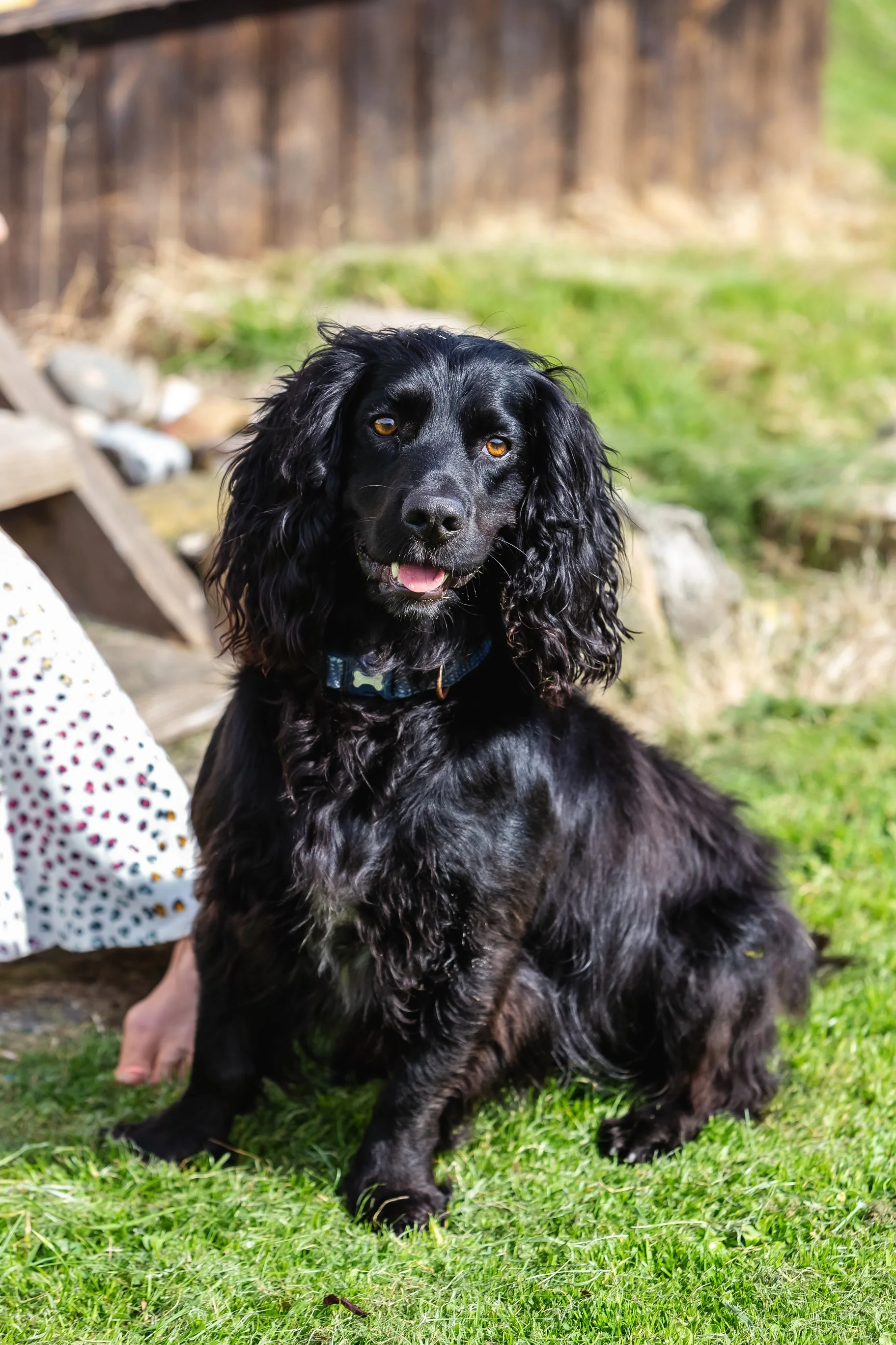 Laura Craig Harvey Family-13-13.jpg