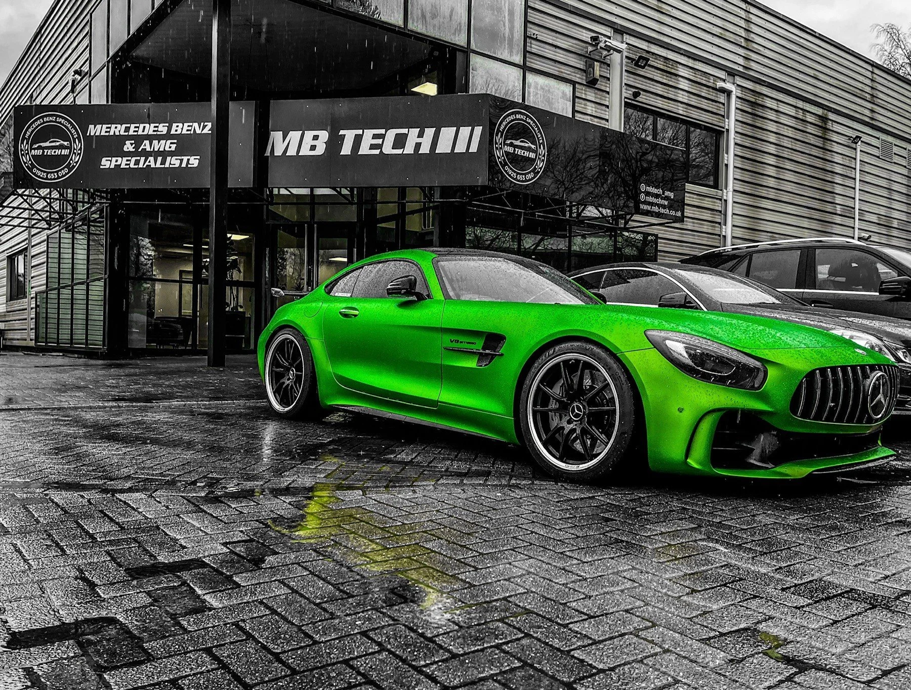 green out.jpg
