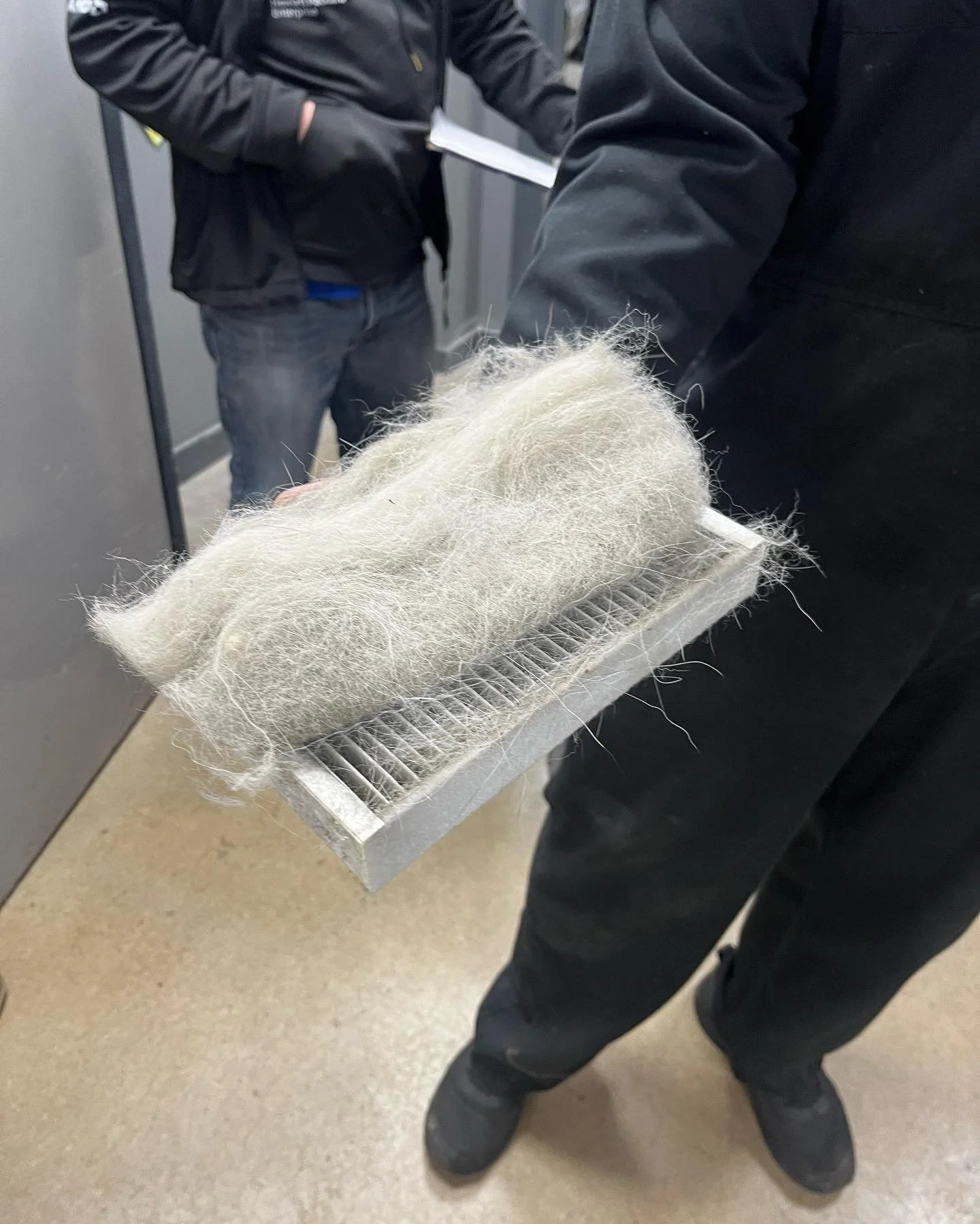 Pollen filter doing its job! This pollen filter was changed last year too. This customer carries their dog in the car with them most days. Highlighting why the pollen filter should be changed regularly.