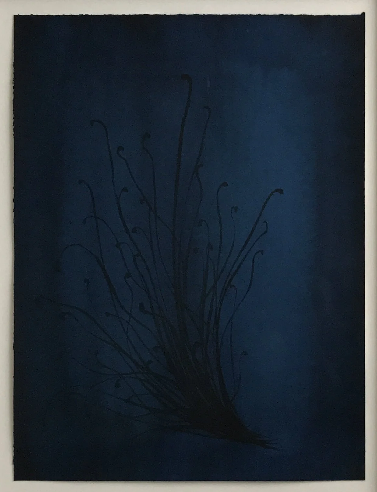 77732CA0-0B76-4618-A9E7-22D049D9453A