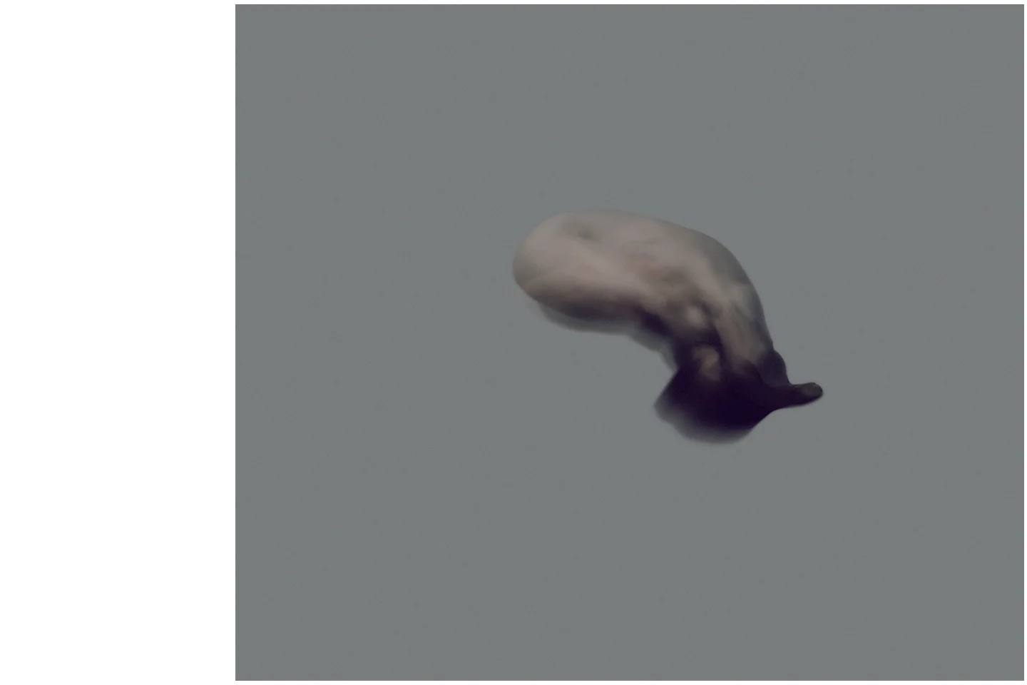 In Utero