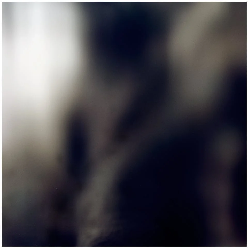 Skin II