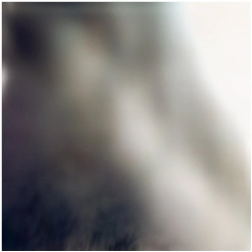 Skin VIII