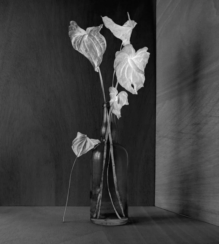 FLOWER_003.webp