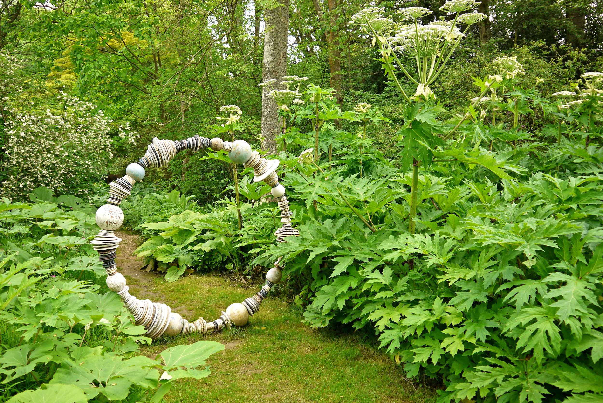 'Portal II' with Hogweed.jpg