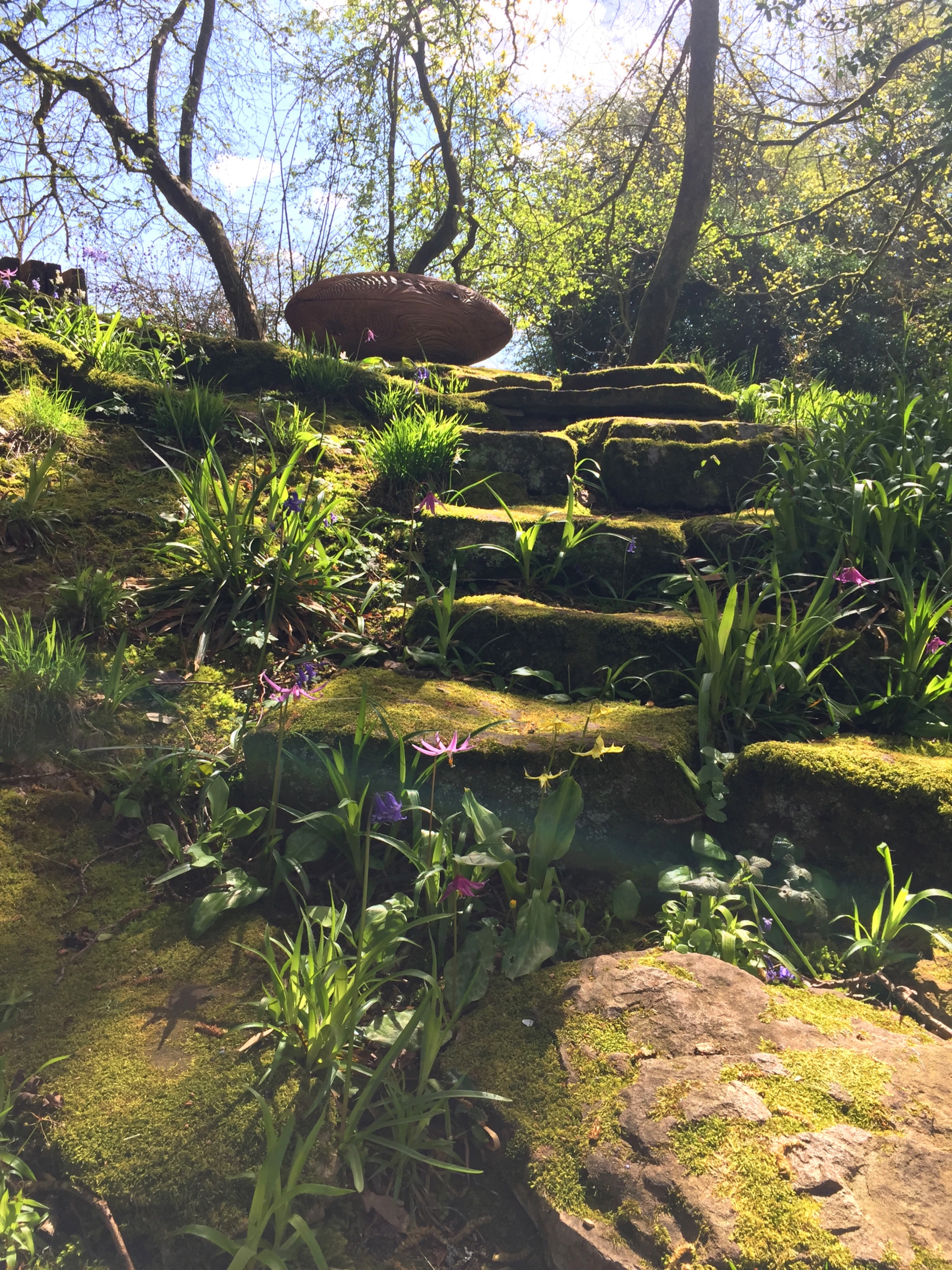 'Ellipsoid' Alison Crowther on steps with Spring Flowers.jpg