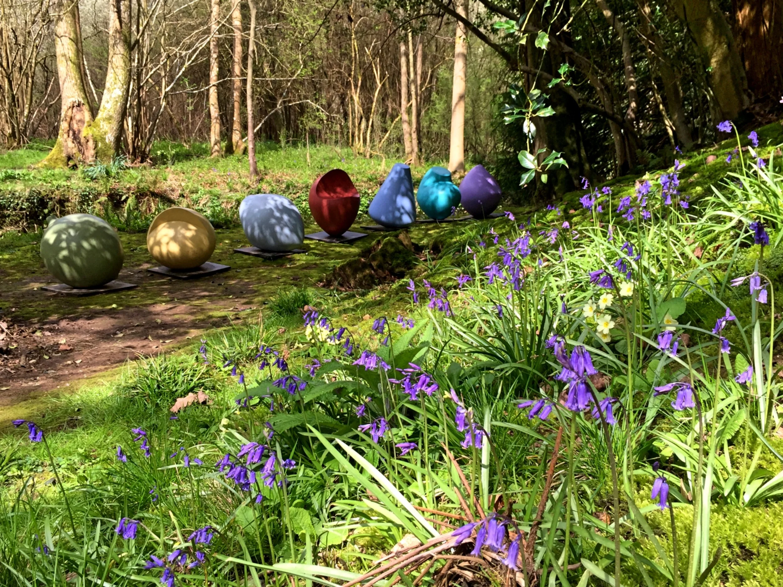 'Individuals' Patricia Volk with Bluebells.jpg
