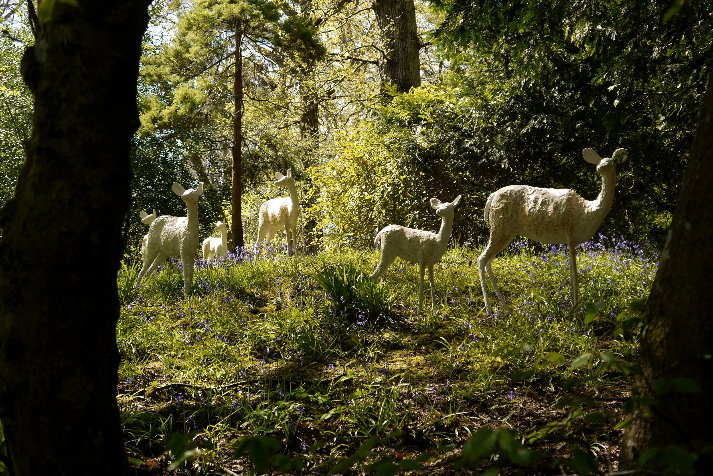 'White Deer' Alison Berman - through trees..jpg