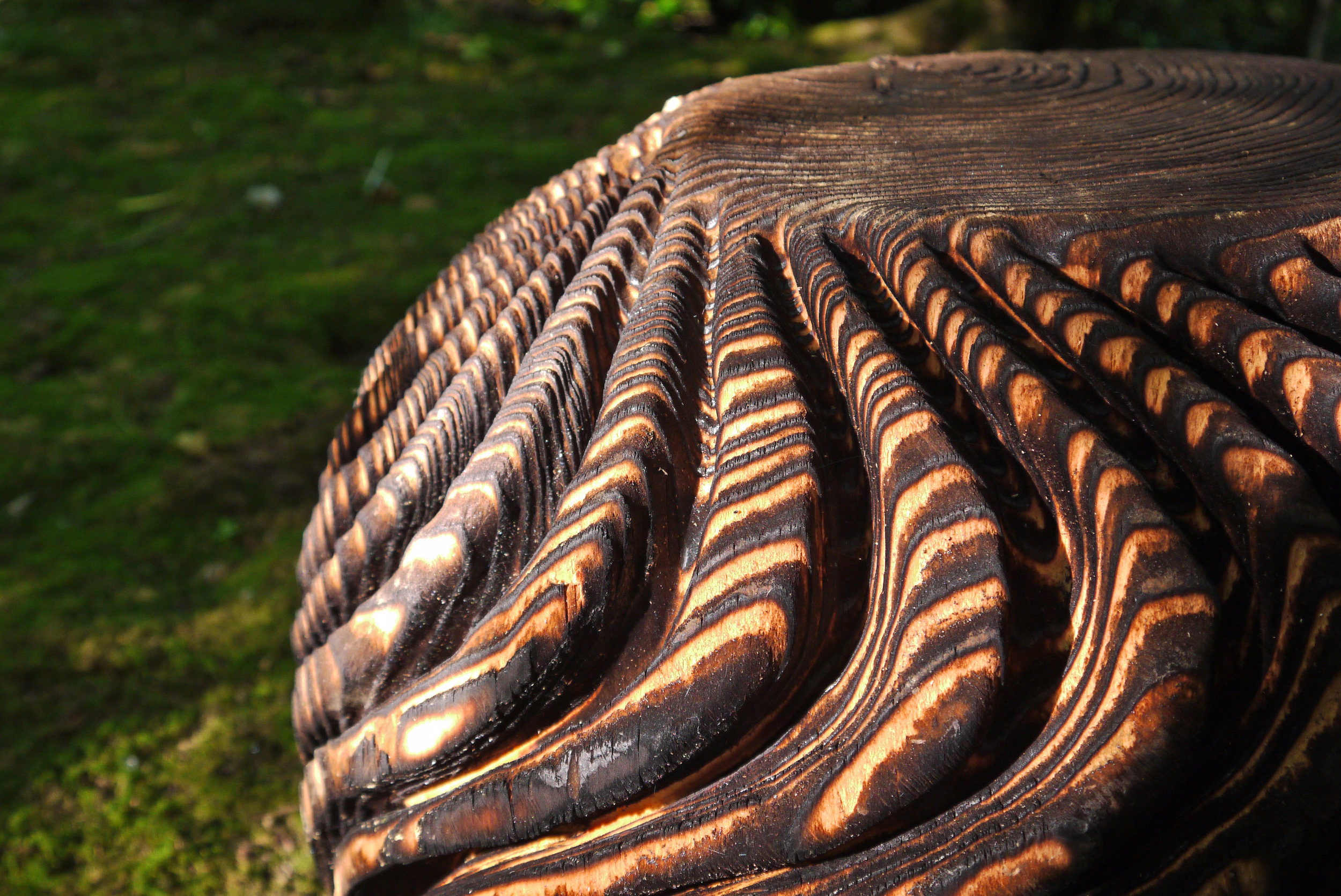 Detail of 'Patterns of Origin' - Walter Bailey, carved & scorched larch.jpg