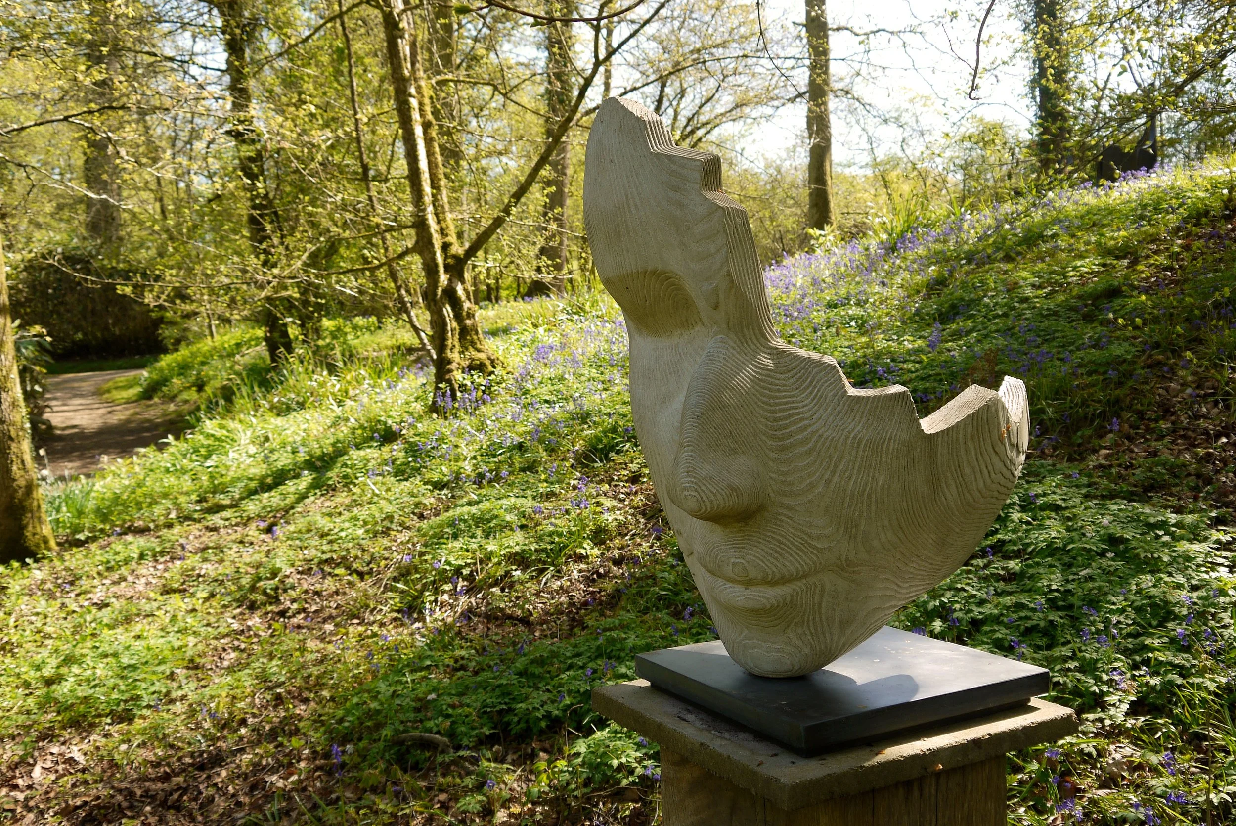 Jilly Sutton — The Hannah Peschar Sculpture Garden