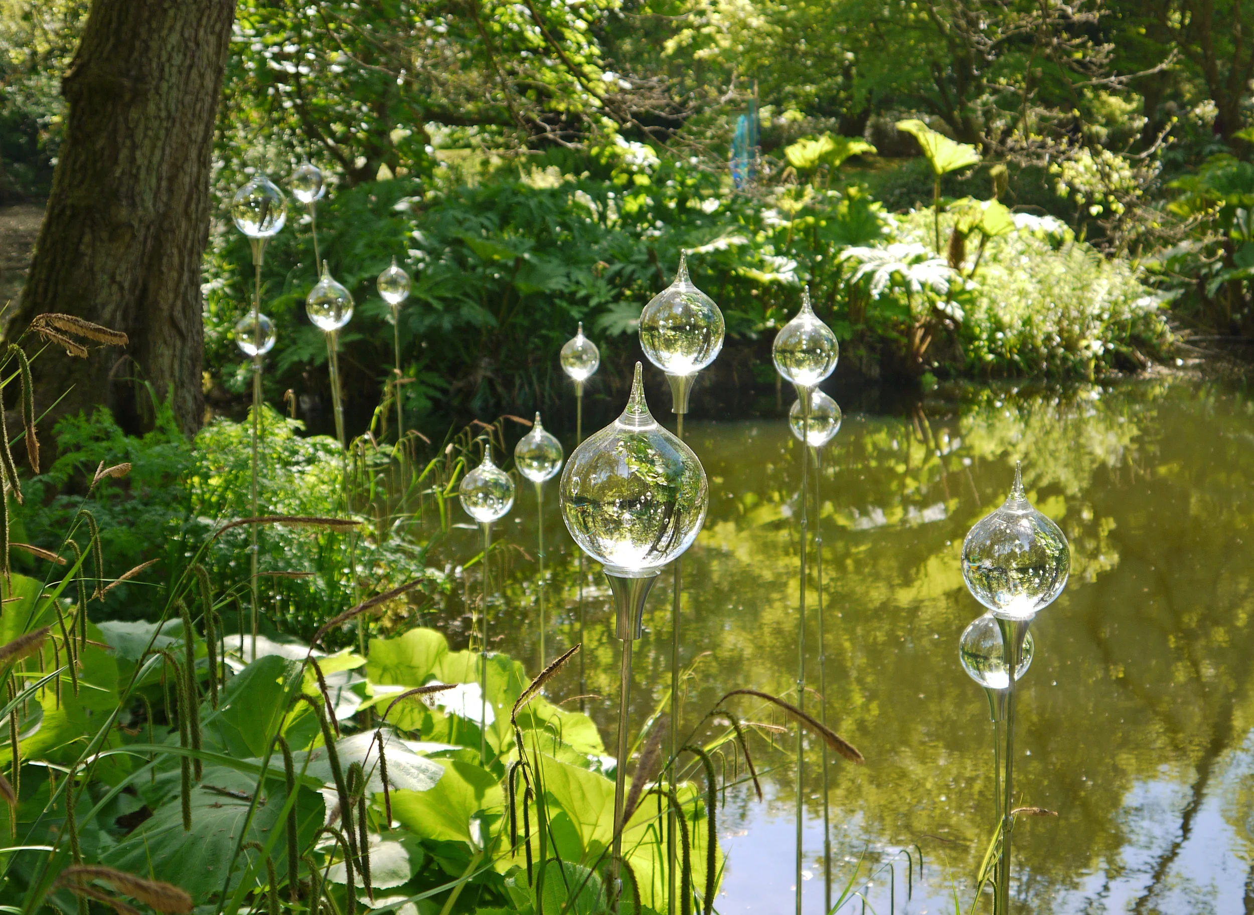 ‘Dew Drops’ Neil Wilkin