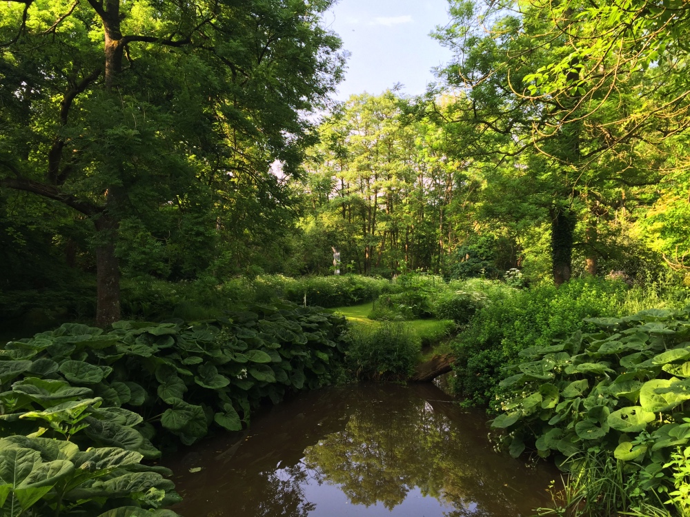 Standon Stream in evening light.jpg