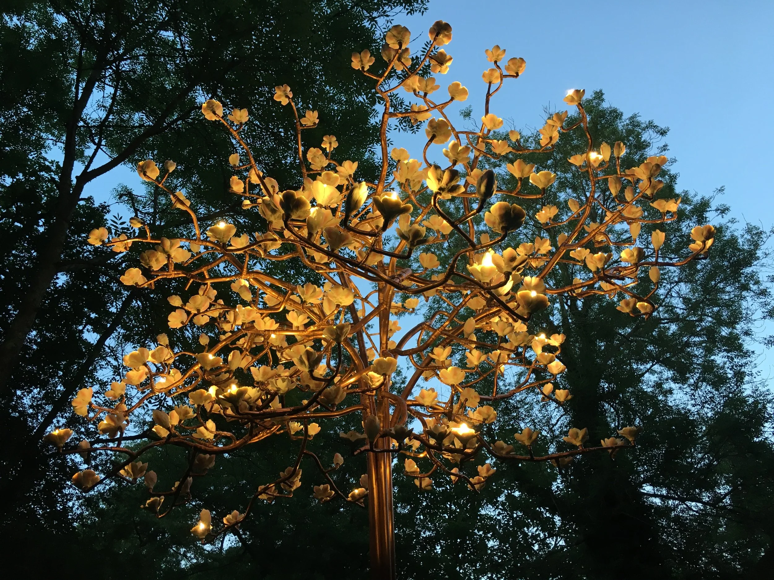 ‘Copper Bloom’ Andy Young